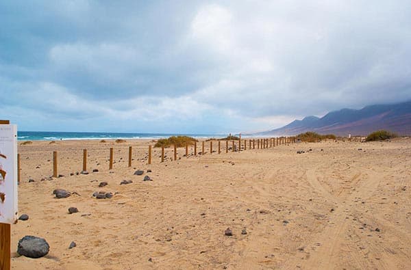 Fuerteventura Fotos › Strand › Cofete › Bild 2
